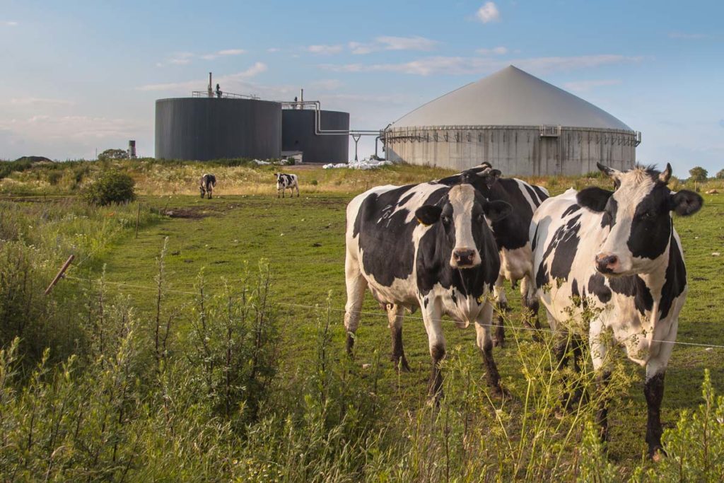 Biogas Processing Industry